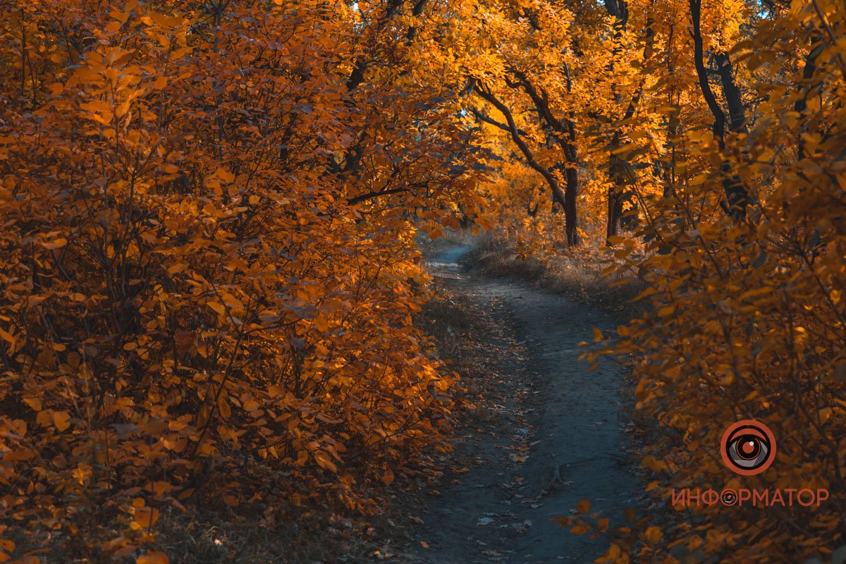Залюбуешься Залюбуешься