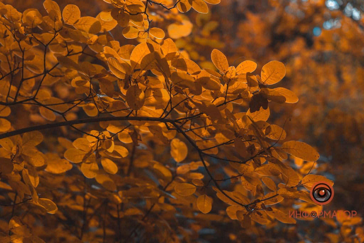 Фото: Денис Чубченко Фото: Денис Чубченко