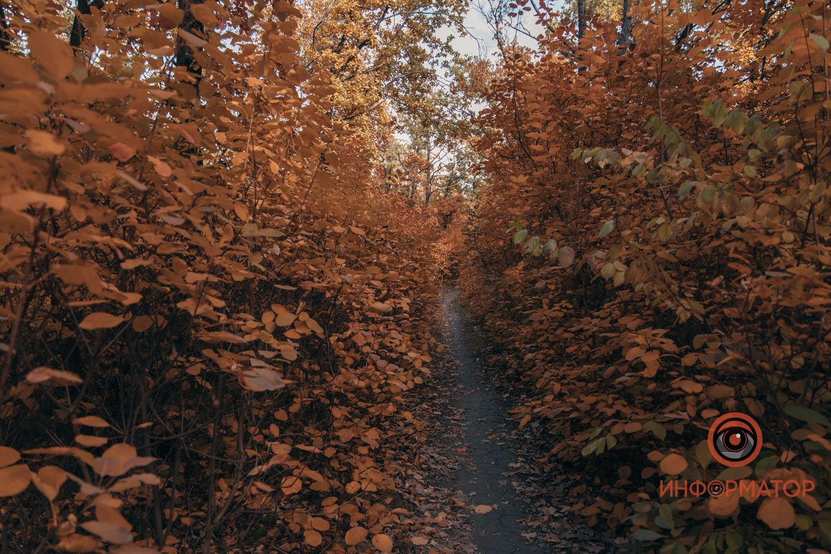 Завораживает Завораживает