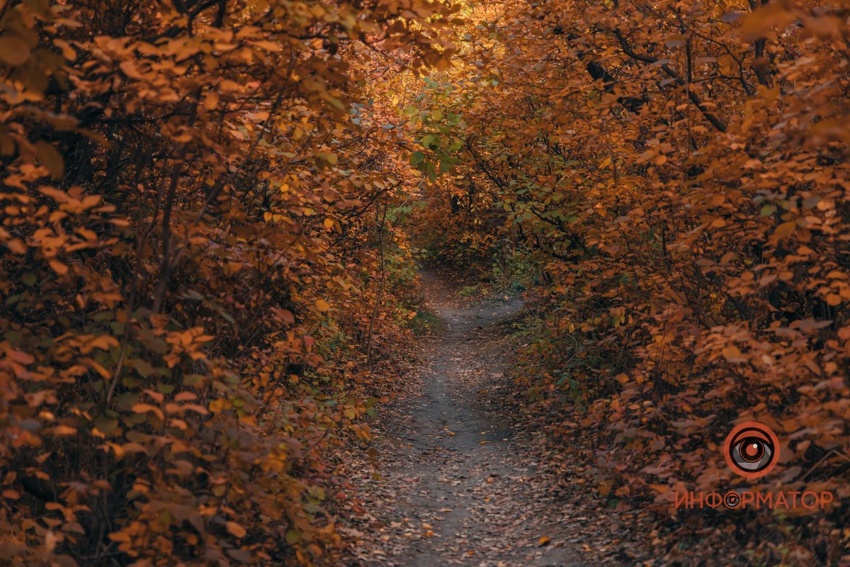 Выходите на прогулку Выходите на прогулку