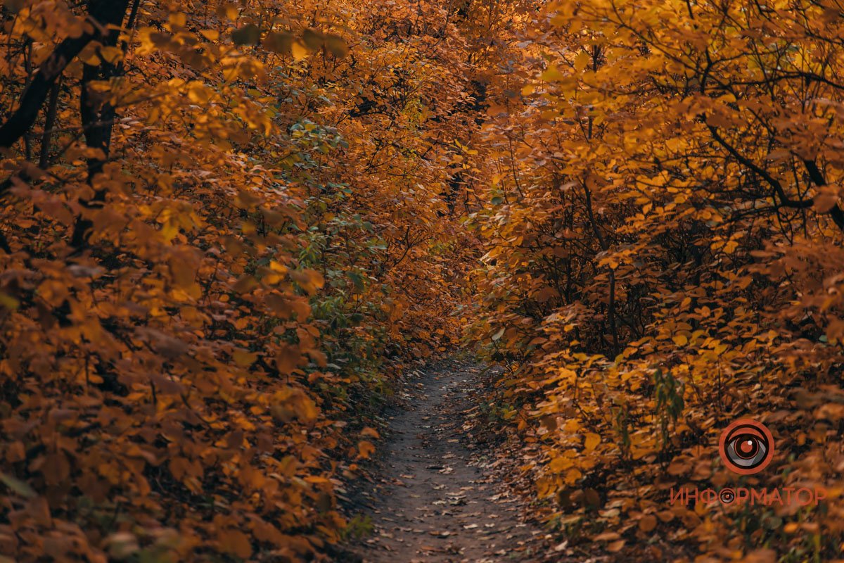 Надо успеть до холодов Надо успеть до холодов