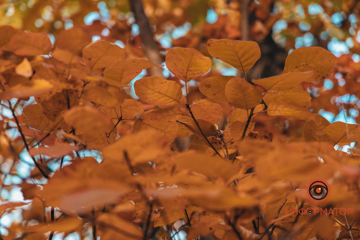 Присмотритесь к мелочам Присмотритесь к мелочам