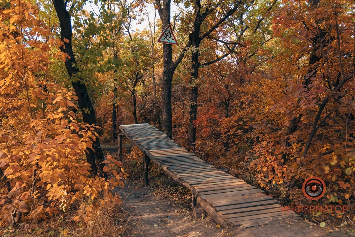 Удивительная атмосфера Удивительная атмосфера