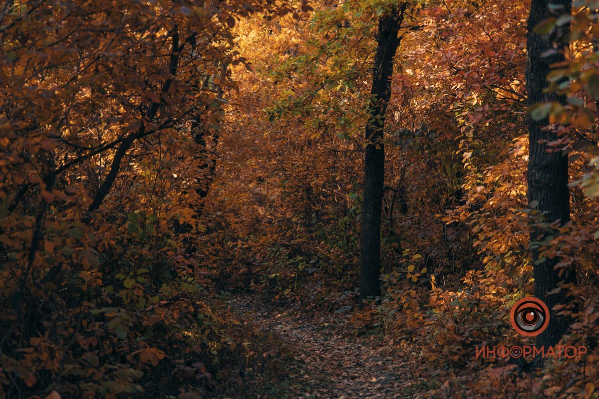 Осенние тона Осенние тона