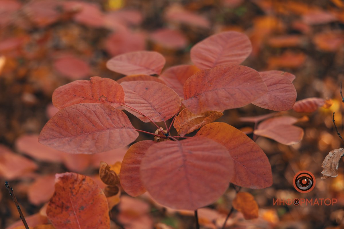 Вы знаете, у кого самые крутые фото Вы знаете, у кого самые крутые фото