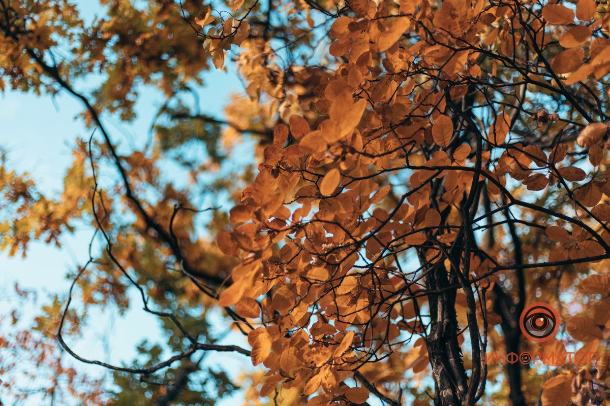 Яркий кадр Яркий кадр