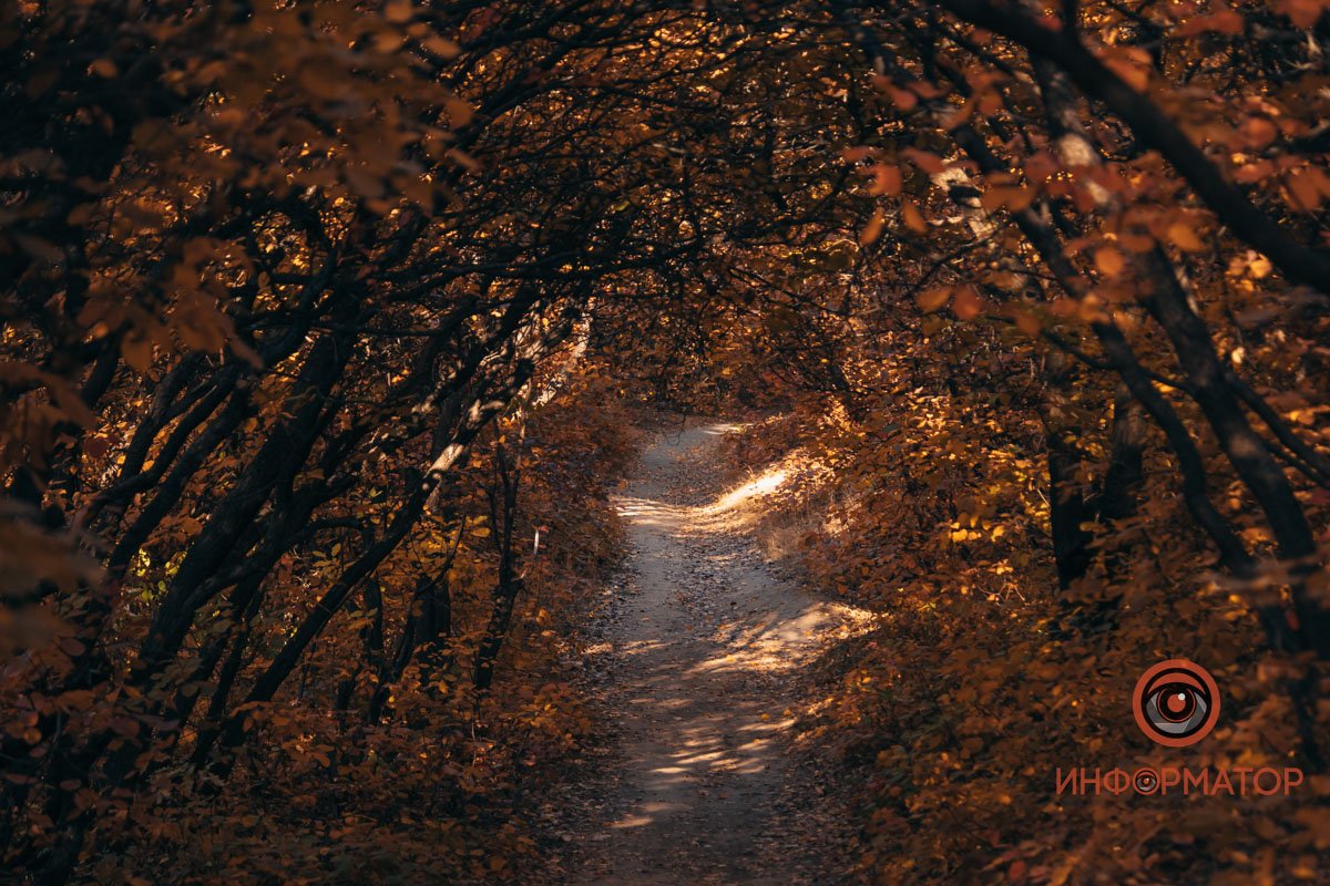 Как в сказке Как в сказке