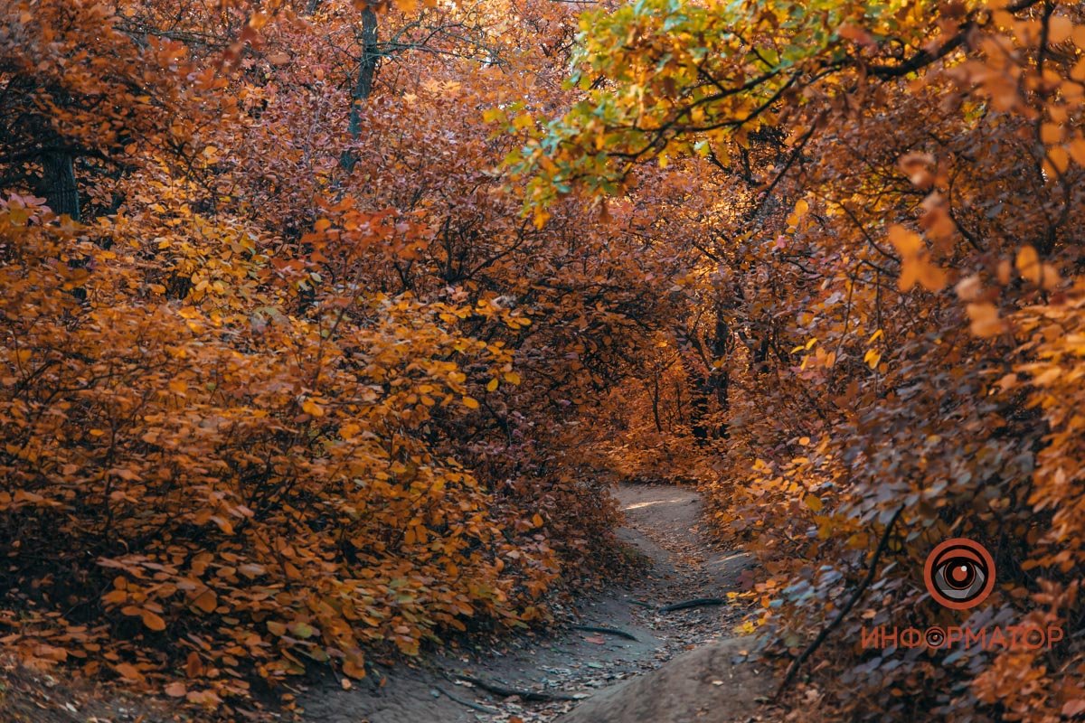 Зима близко Зима близко