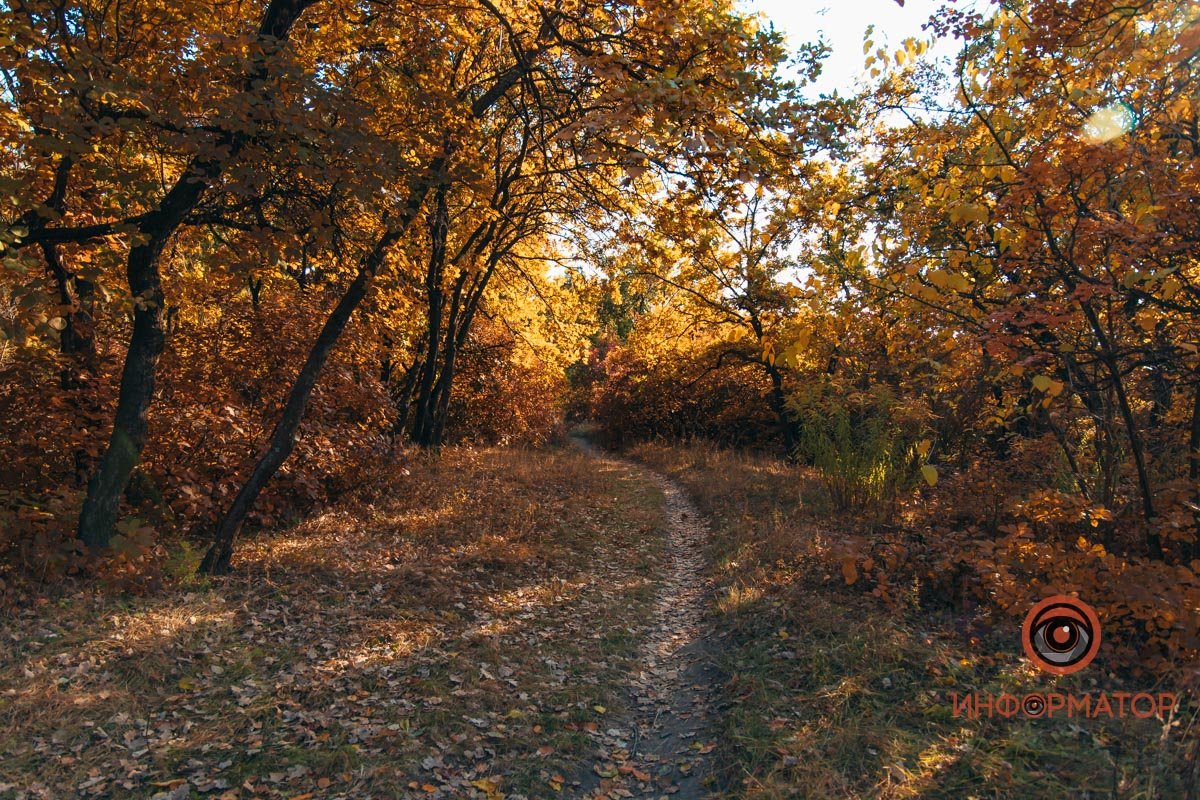 Хоть на рабочий стол ставь Хоть на рабочий стол ставь