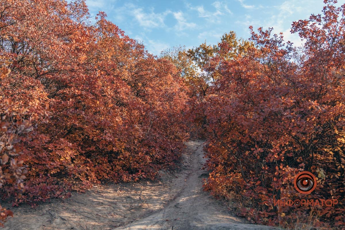 Глаз не оторвать Глаз не оторвать