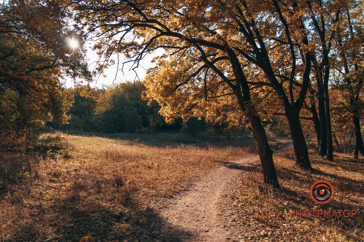 Удивительная красота: как в Днепре выглядит Тоннельная балка в осенних тонах 20