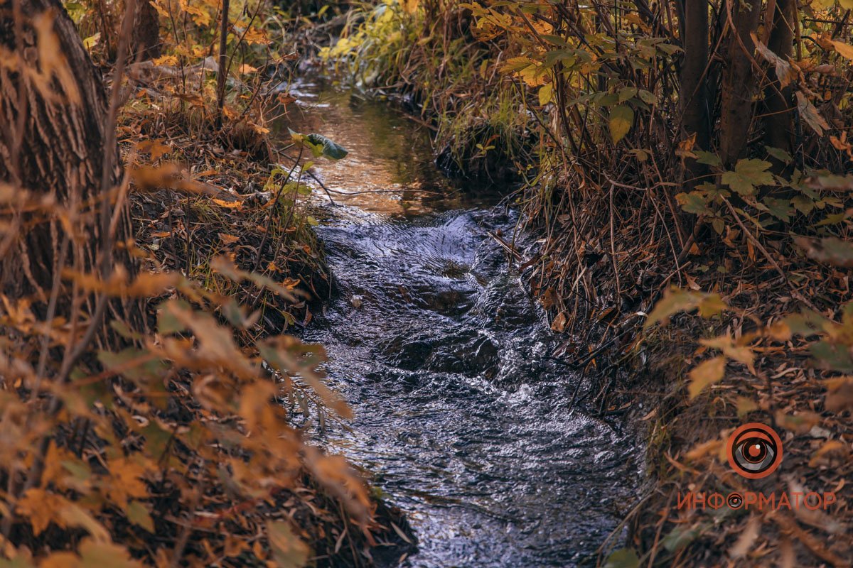 Удивительная красота: как в Днепре выглядит Тоннельная балка в осенних тонах 23