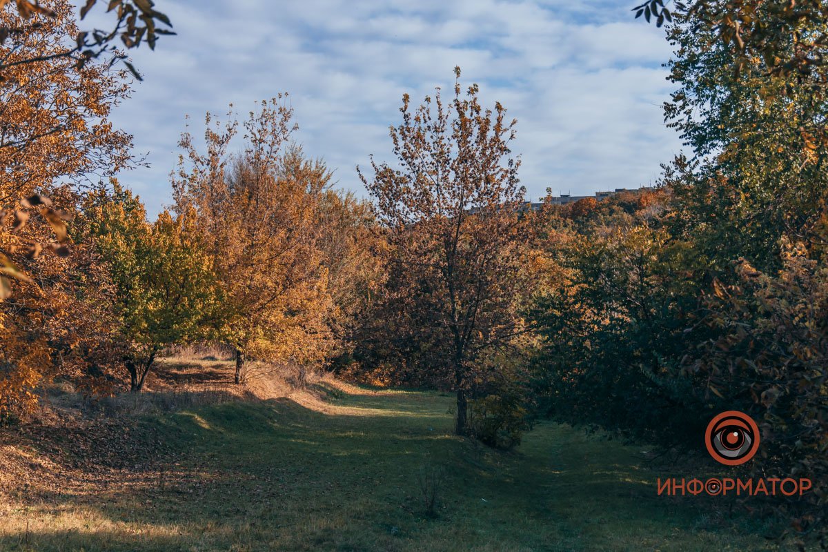 Удивительная красота: как в Днепре выглядит Тоннельная балка в осенних тонах 24