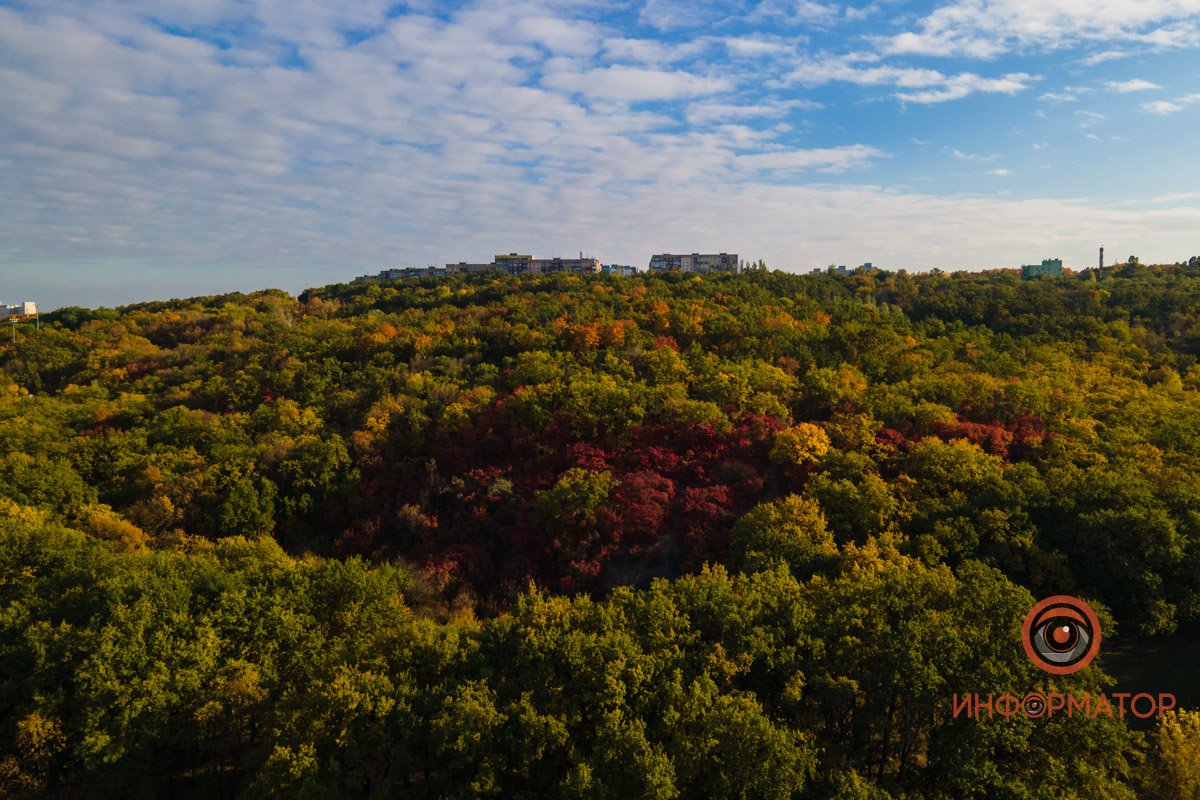 Удивительная красота: как в Днепре выглядит Тоннельная балка в осенних тонах 26