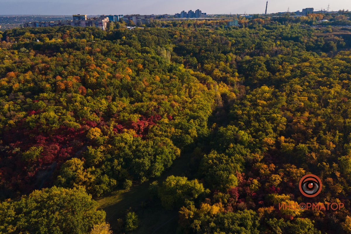 Удивительная красота: как в Днепре выглядит Тоннельная балка в осенних тонах 27