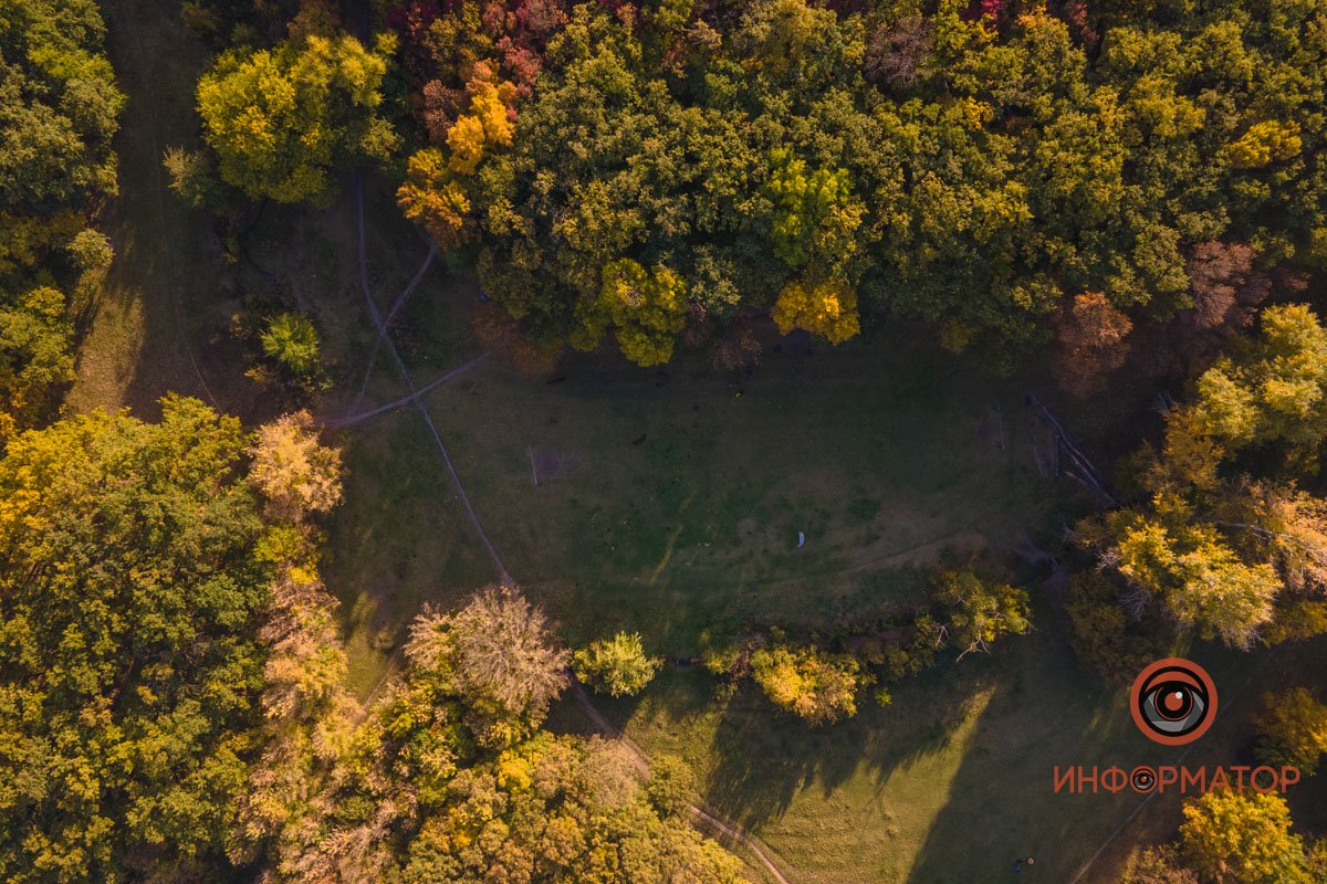 Удивительная красота: как в Днепре выглядит Тоннельная балка в осенних тонах 29