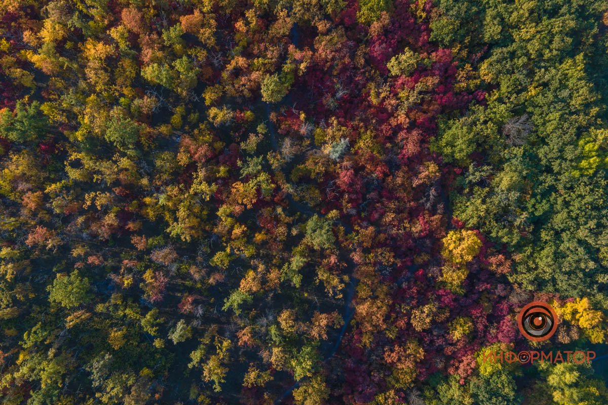 Удивительная красота: как в Днепре выглядит Тоннельная балка в осенних тонах 30