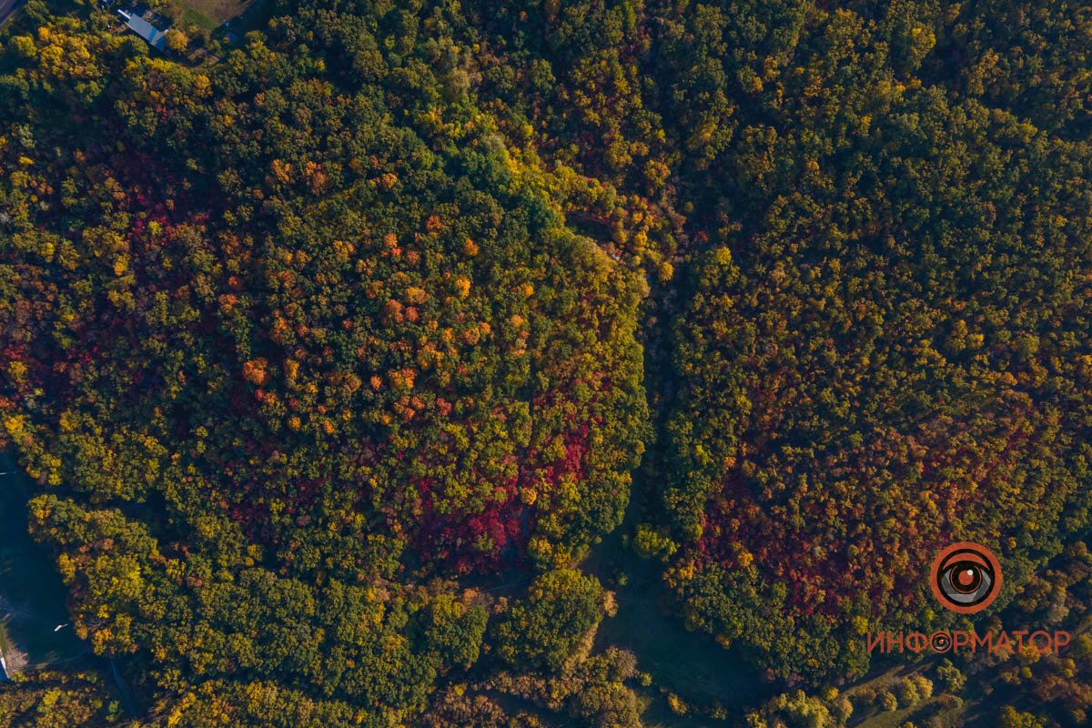 Удивительная красота: как в Днепре выглядит Тоннельная балка в осенних тонах 34