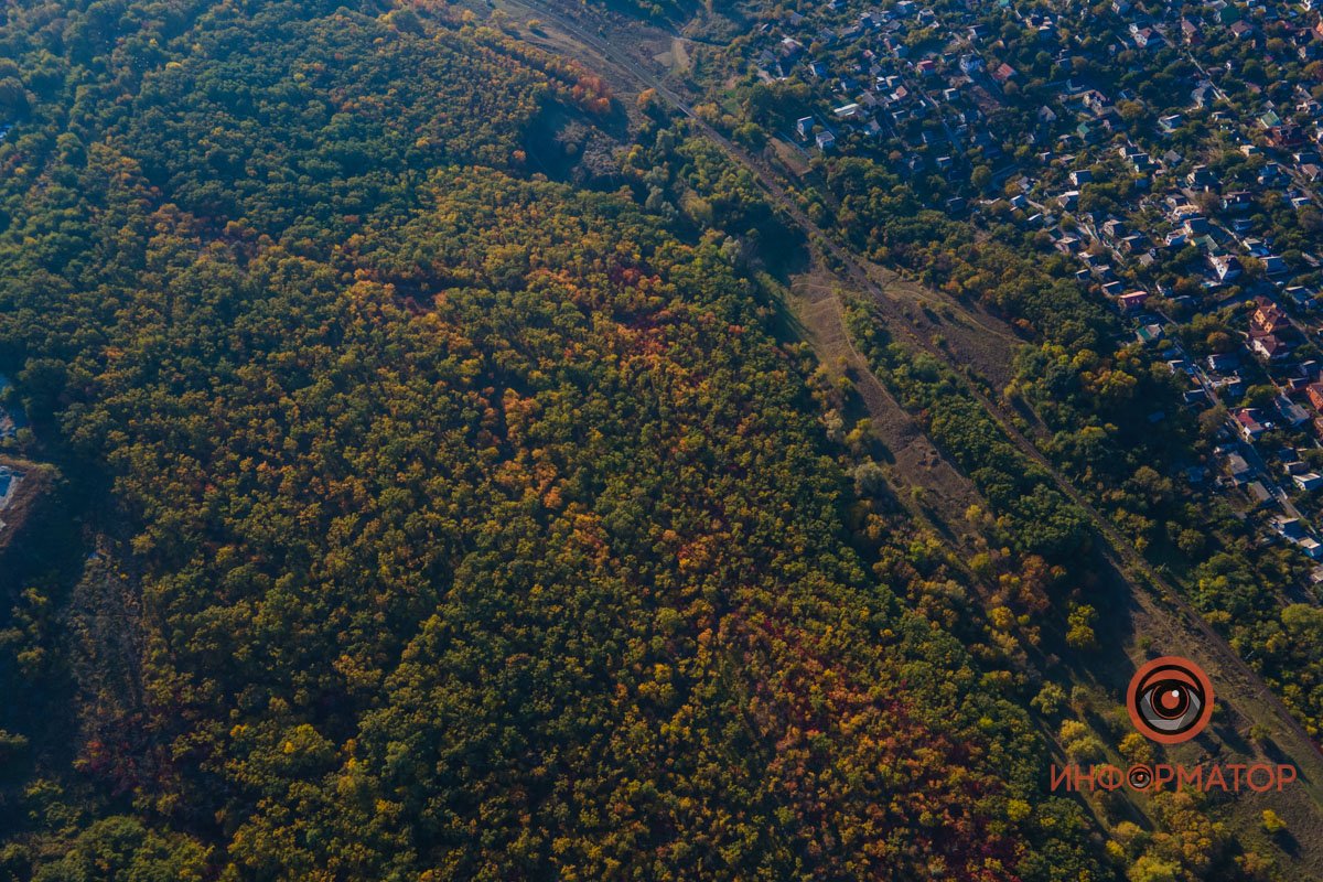 Удивительная красота: как в Днепре выглядит Тоннельная балка в осенних тонах 35
