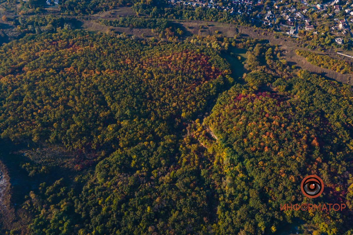 Удивительная красота: как в Днепре выглядит Тоннельная балка в осенних тонах 36