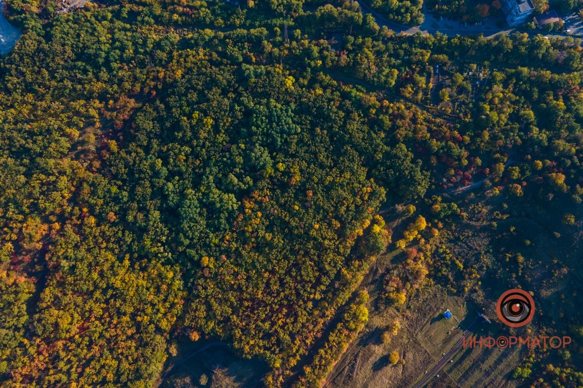 Удивительная красота: как в Днепре выглядит Тоннельная балка в осенних тонах 40