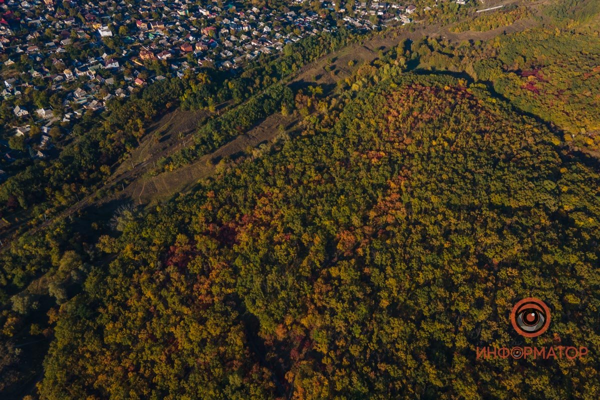 Удивительная красота: как в Днепре выглядит Тоннельная балка в осенних тонах 41