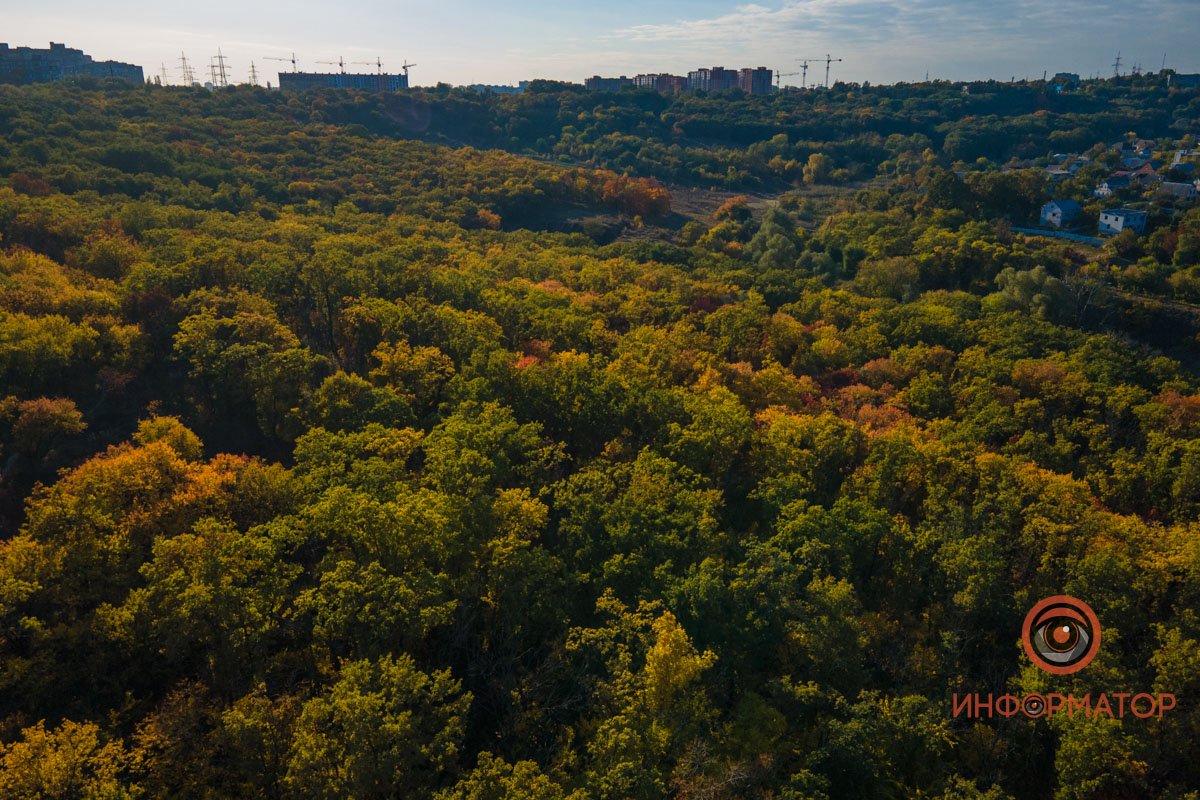 Удивительная красота: как в Днепре выглядит Тоннельная балка в осенних тонах 43