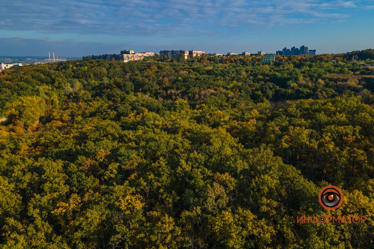 Удивительная красота: как в Днепре выглядит Тоннельная балка в осенних тонах 44