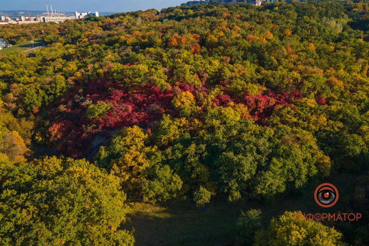 Удивительная красота: как в Днепре выглядит Тоннельная балка в осенних тонах 45