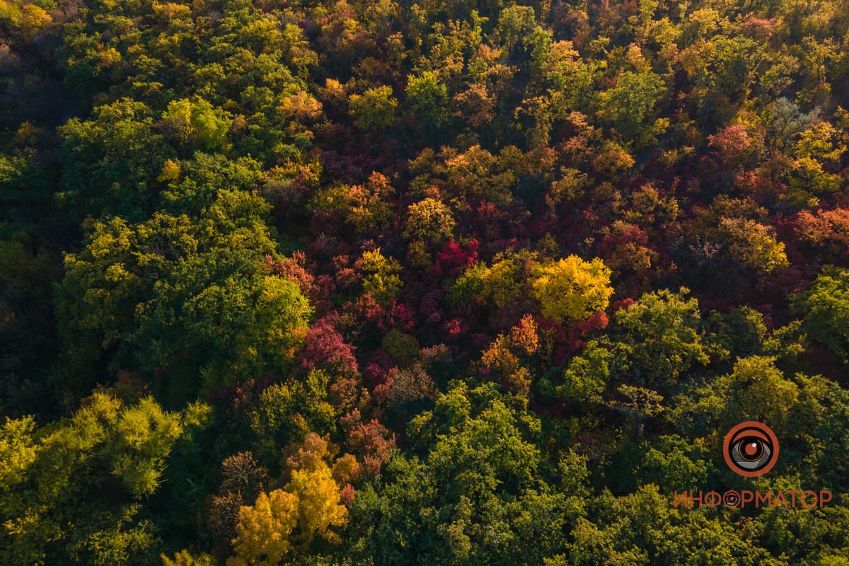 Удивительная красота: как в Днепре выглядит Тоннельная балка в осенних тонах 46