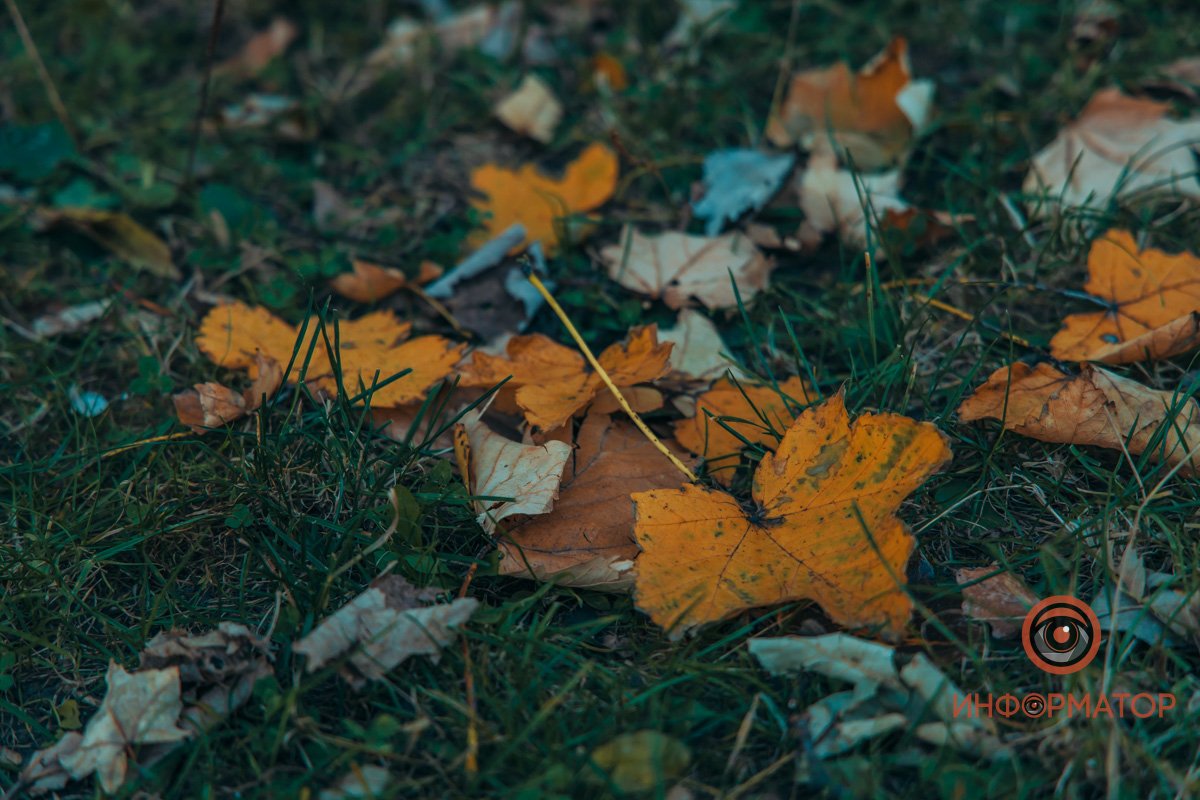 Удивительная красота: как в Днепре выглядит Тоннельная балка в осенних тонах 47