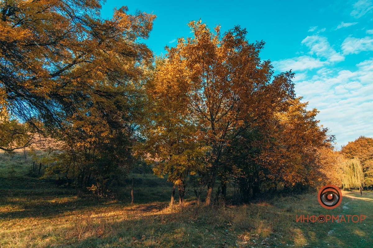 Удивительная красота: как в Днепре выглядит Тоннельная балка в осенних тонах 48