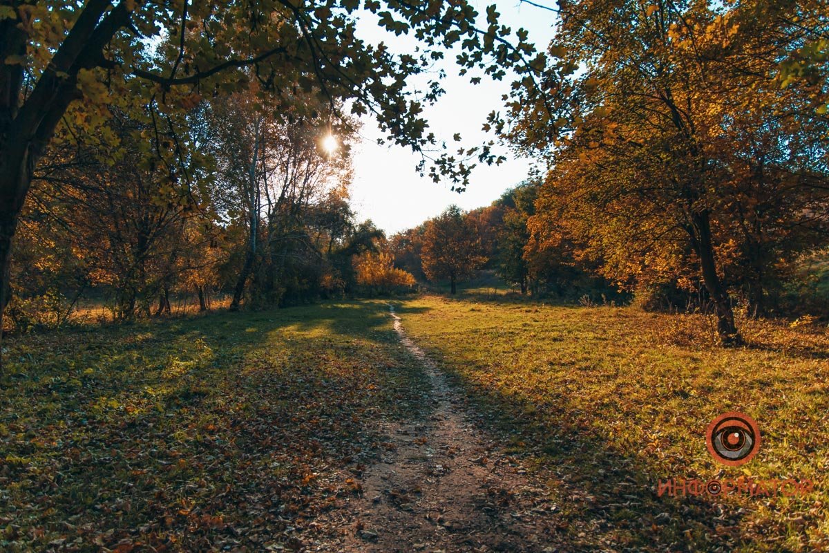 Удивительная красота: как в Днепре выглядит Тоннельная балка в осенних тонах 49