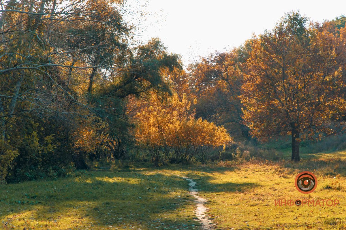 Удивительная красота: как в Днепре выглядит Тоннельная балка в осенних тонах 50