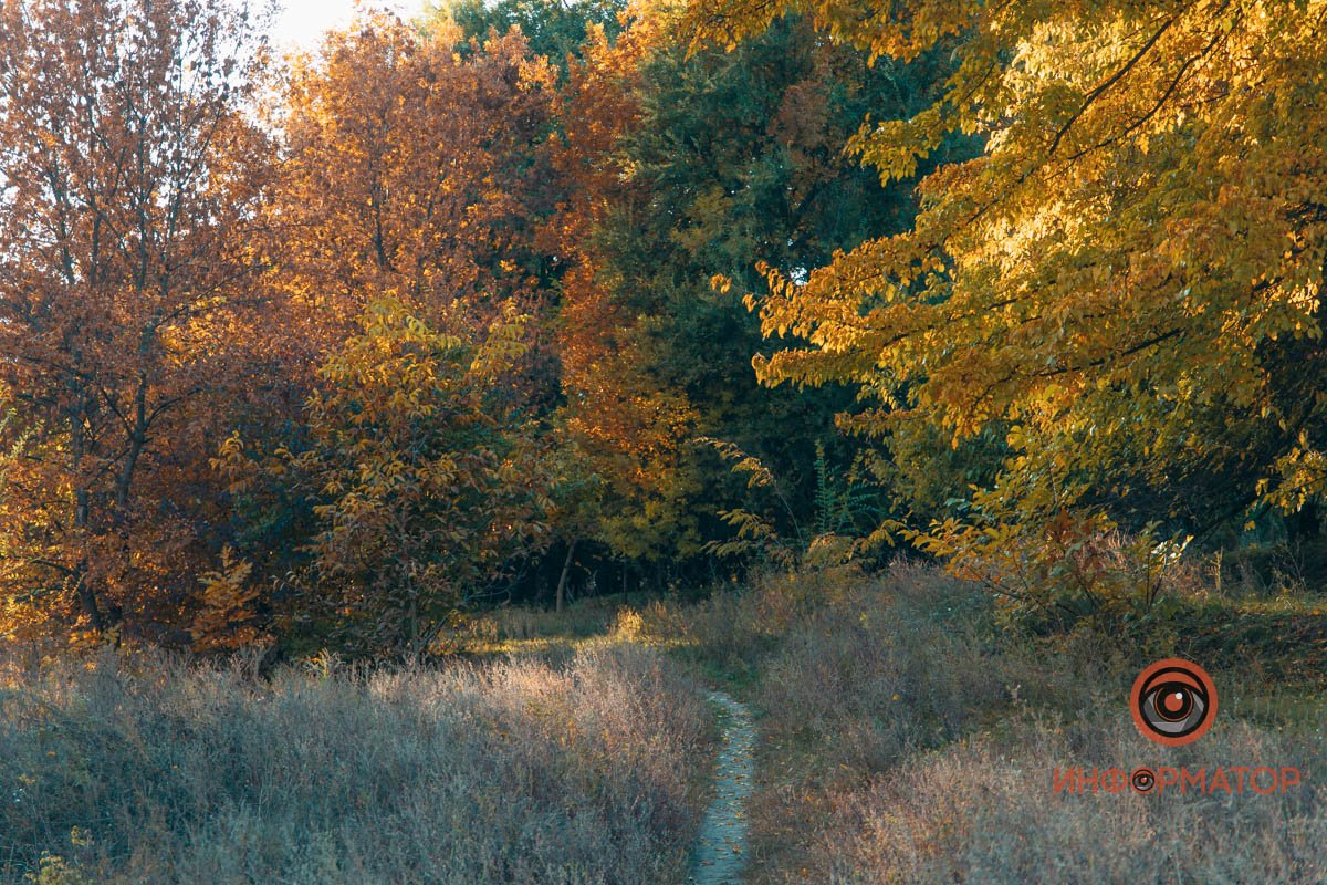 Удивительная красота: как в Днепре выглядит Тоннельная балка в осенних тонах 51