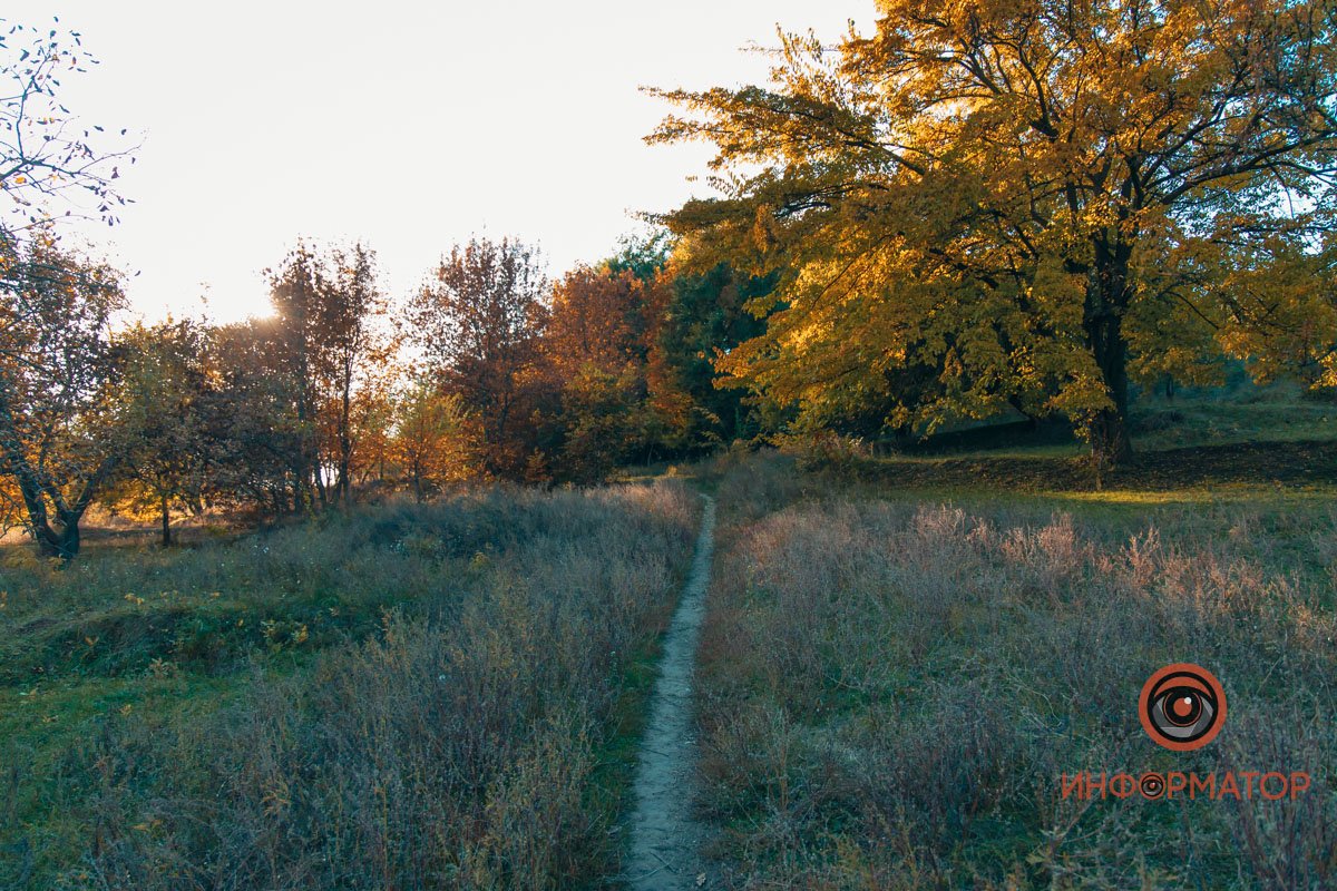 Удивительная красота: как в Днепре выглядит Тоннельная балка в осенних тонах 52