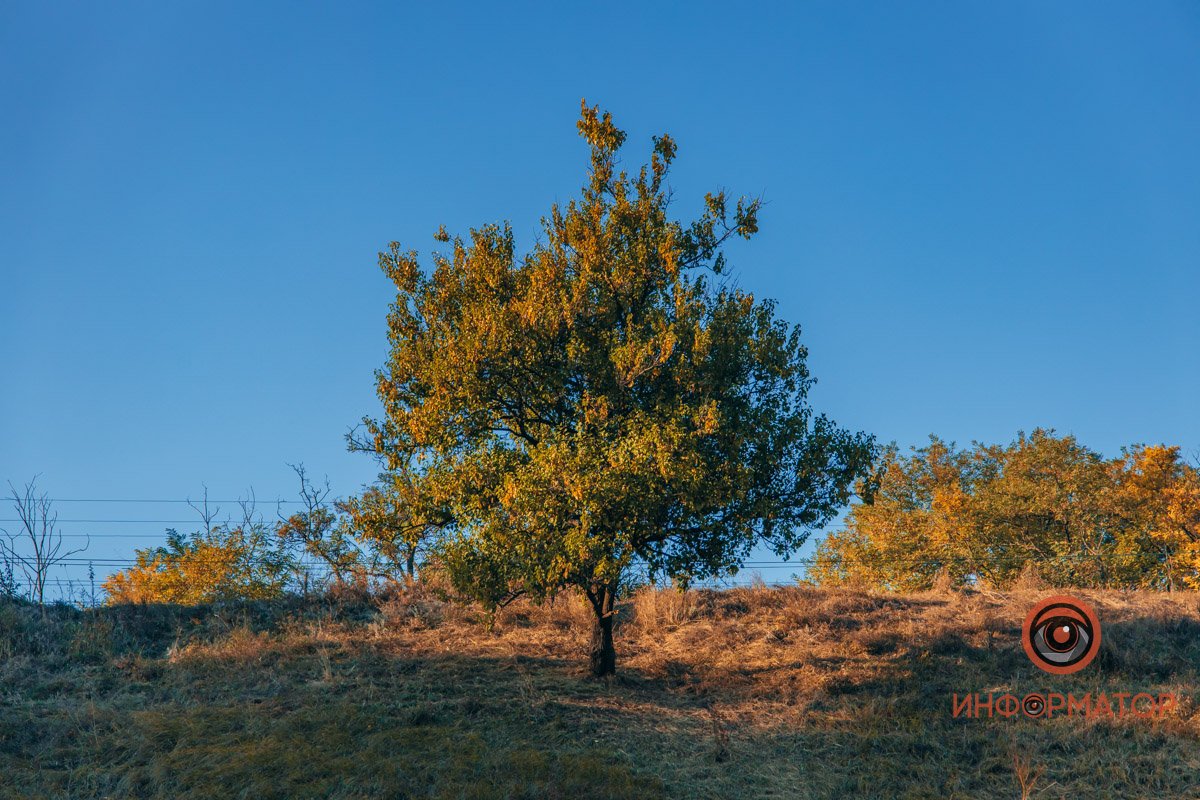 Удивительная красота: как в Днепре выглядит Тоннельная балка в осенних тонах 53