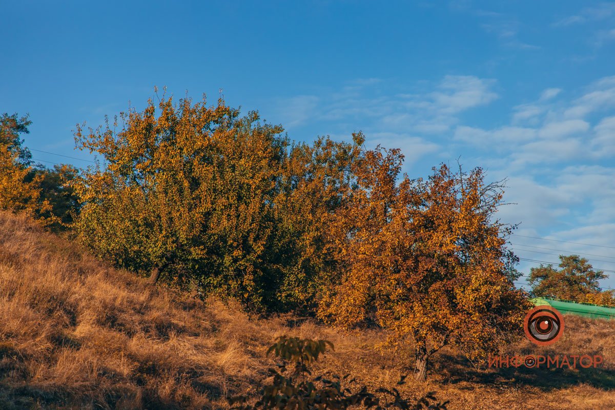 Удивительная красота: как в Днепре выглядит Тоннельная балка в осенних тонах 54