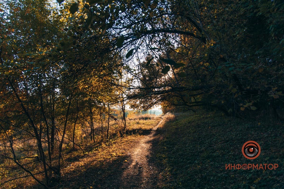 Удивительная красота: как в Днепре выглядит Тоннельная балка в осенних тонах 55