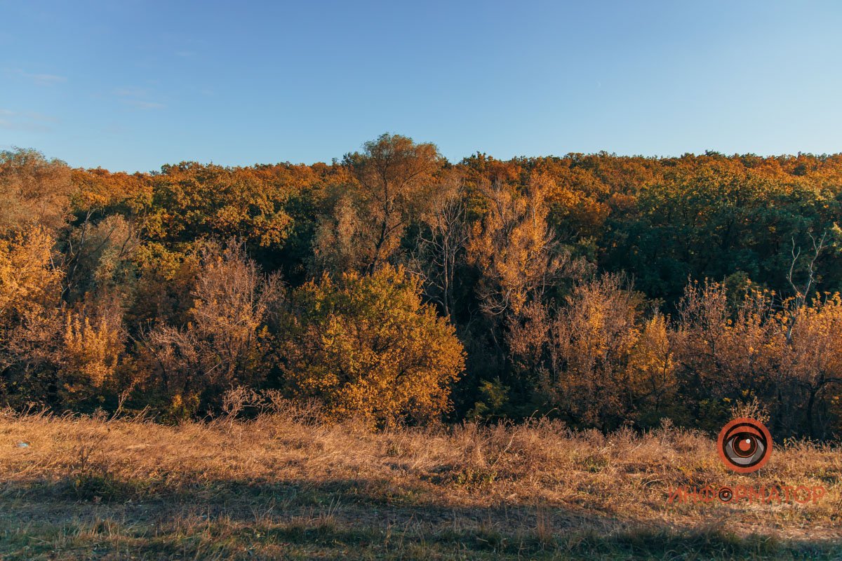 Удивительная красота: как в Днепре выглядит Тоннельная балка в осенних тонах 56