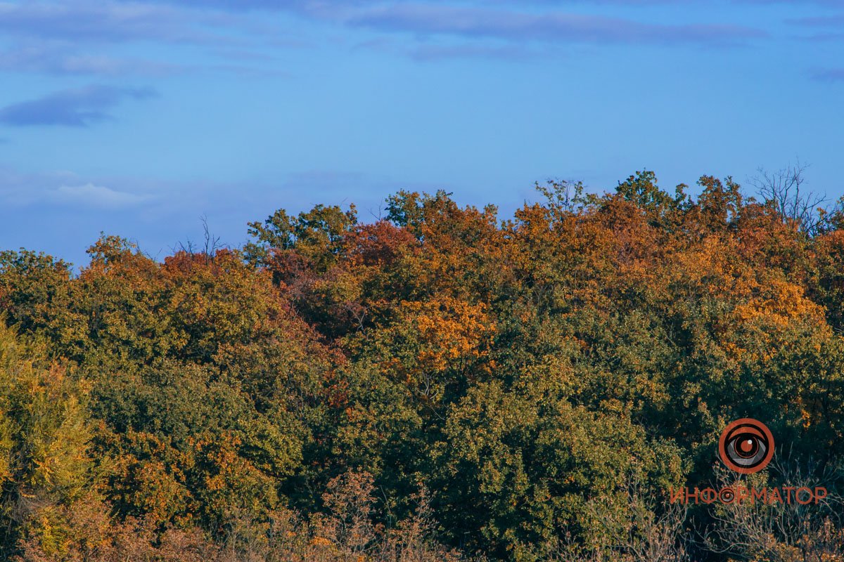 Удивительная красота: как в Днепре выглядит Тоннельная балка в осенних тонах 57