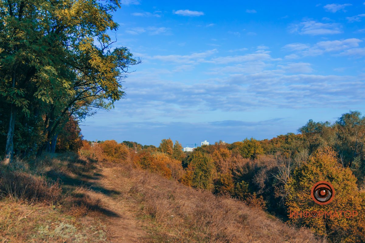 Удивительная красота: как в Днепре выглядит Тоннельная балка в осенних тонах 58