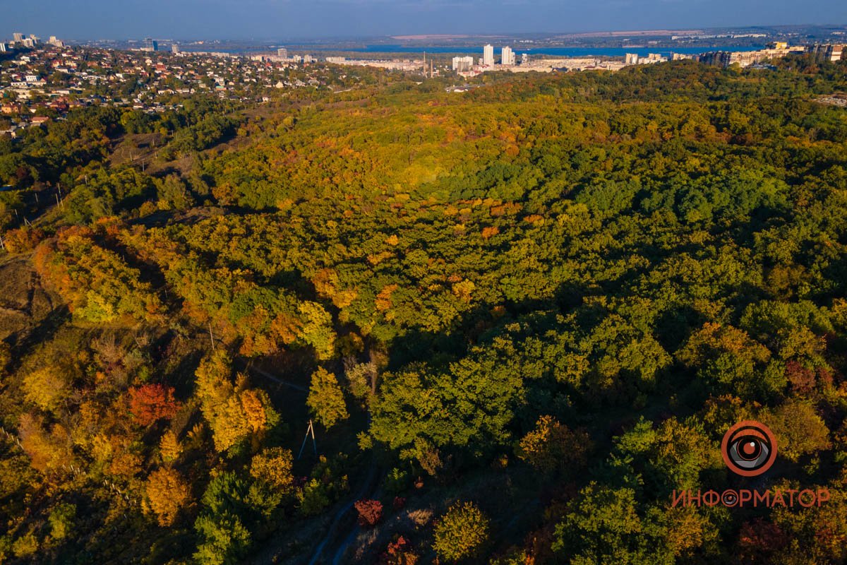 Удивительная красота: как в Днепре выглядит Тоннельная балка в осенних тонах 65