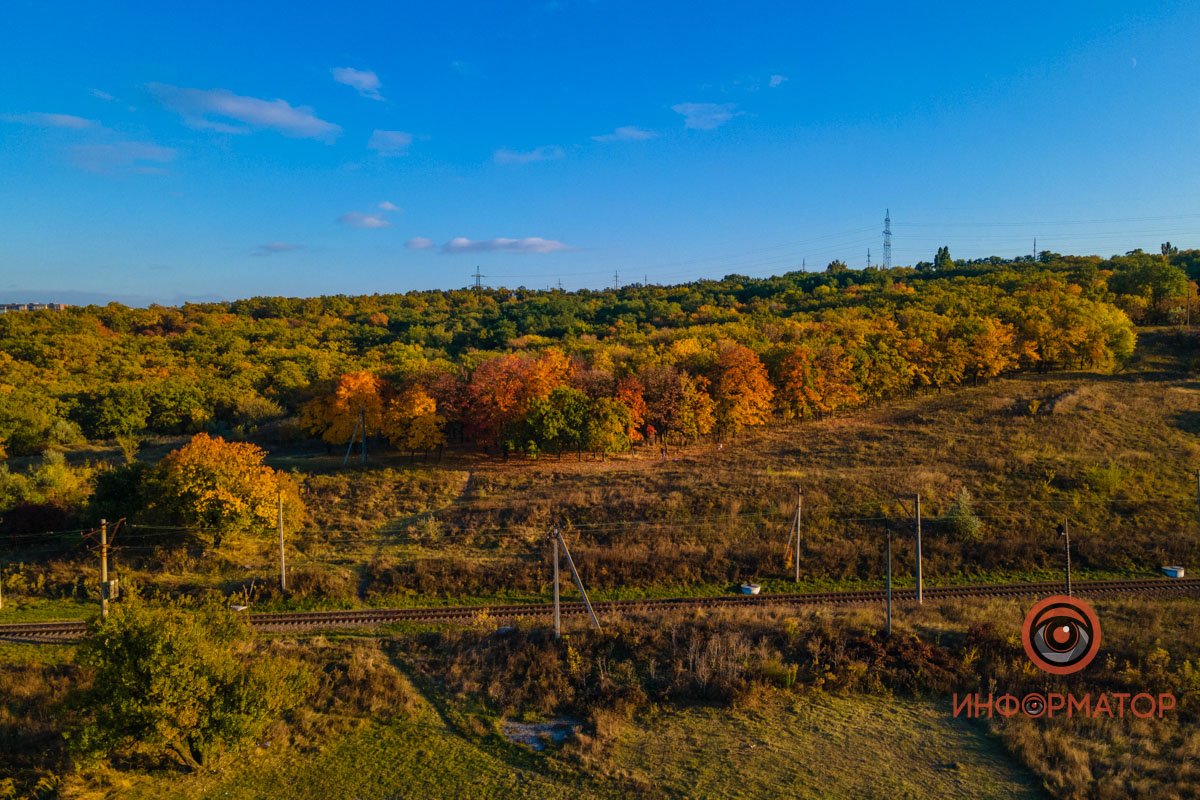 Удивительная красота: как в Днепре выглядит Тоннельная балка в осенних тонах 66