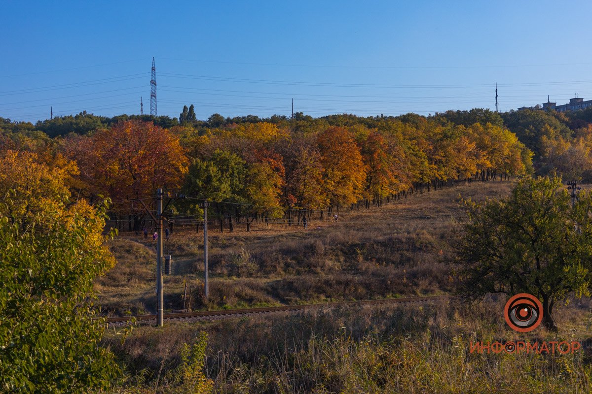 Удивительная красота: как в Днепре выглядит Тоннельная балка в осенних тонах 67