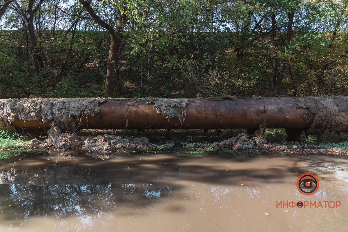 На улице Каруны, возле заезда на Амурский мост со стороны левого берега