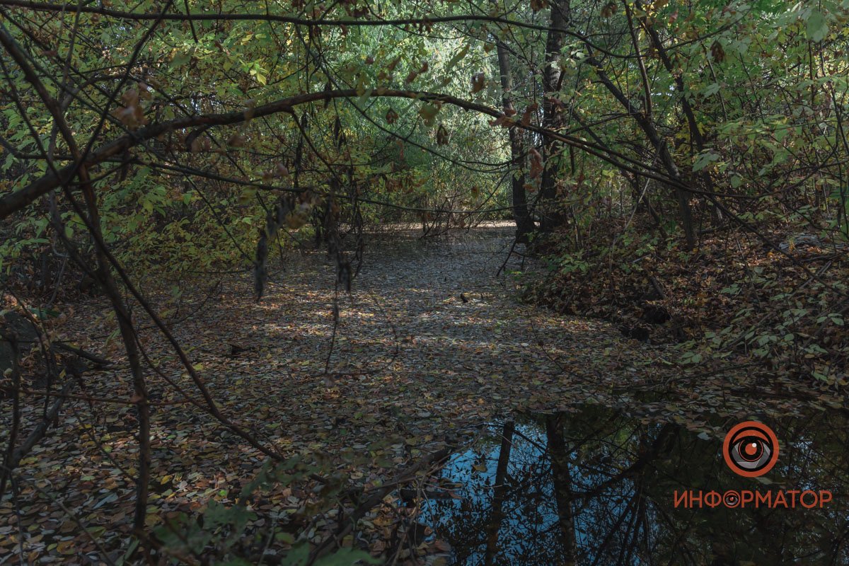 Территория между улицами Каруны и Джузеппе Гарибальди превратилась в болото
