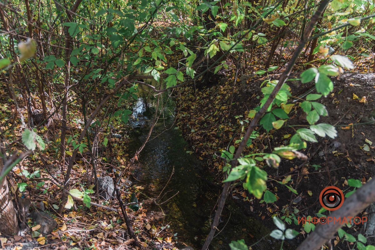 Где-то случился прорыв на водопроводе