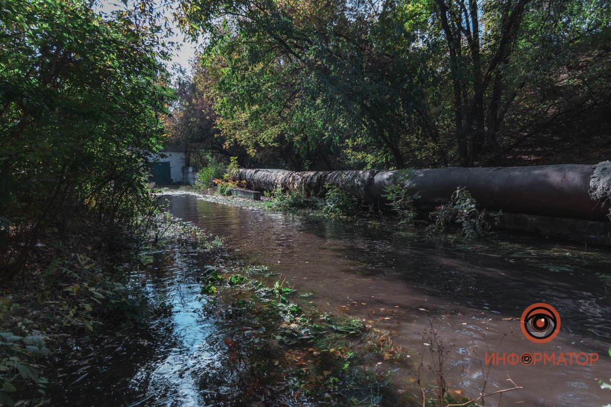 Все заливает водой тут не впервые