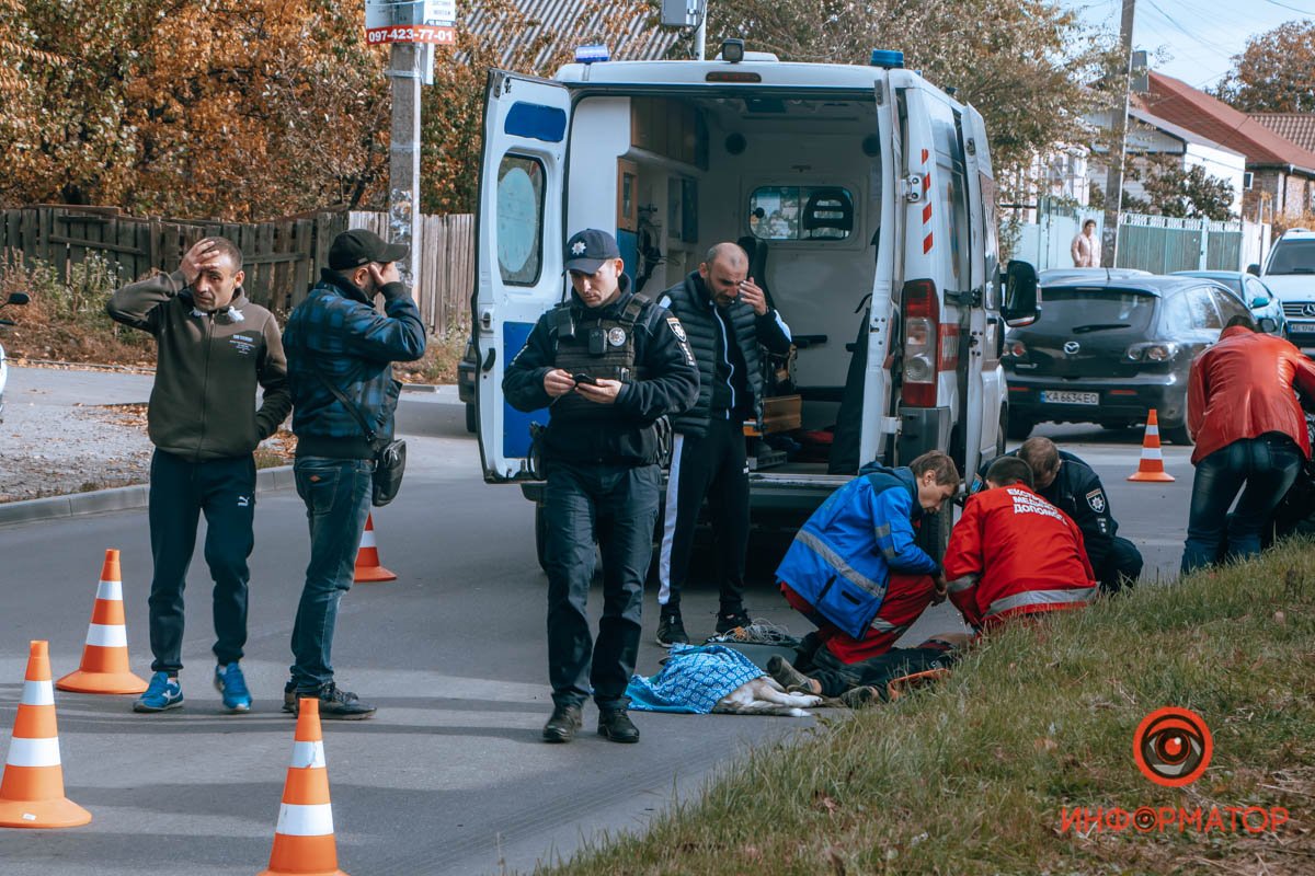 Собака погибла на месте, мальчика же откачивали около часа